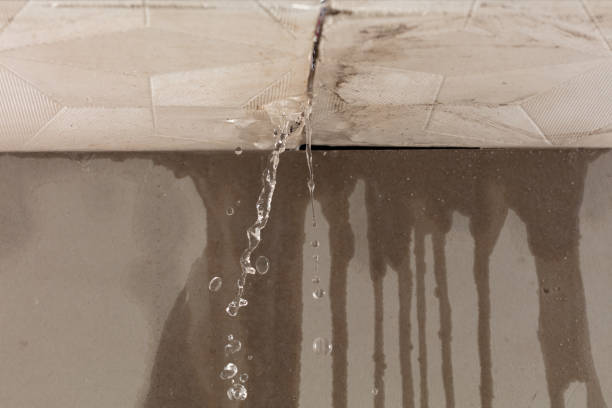 Professional Water Damage Repair technician working in Green Pond, AL
